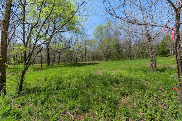 2819A Yell Rd, Lewisburg, TN 37091