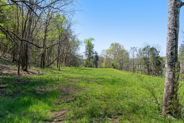 2819A Yell Rd, Lewisburg, TN 37091