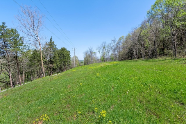 2819A Yell Rd, Lewisburg, TN 37091
