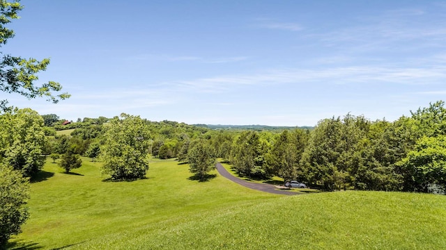 1056 Gilmore Hill Rd, Lebanon, TN 37087 - view of green lawn