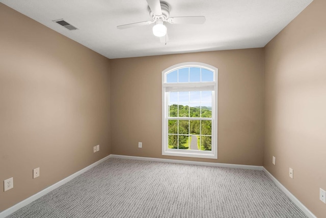 1056 Gilmore Hill Rd, Lebanon, TN 37087 - carpeted spare room with plenty of natural light, a ceiling fan, and baseboards