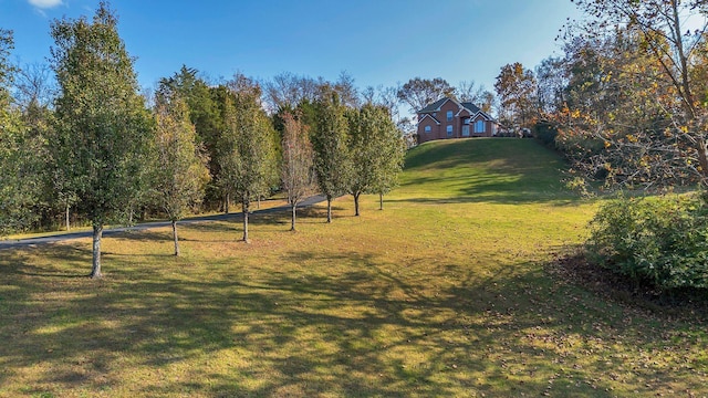 1056 Gilmore Hill Rd, Lebanon, TN 37087 - view of property's community featuring a lawn