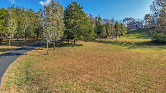 1056 Gilmore Hill Rd, Lebanon, TN 37087 - view of home's community featuring a yard and asphalt driveway