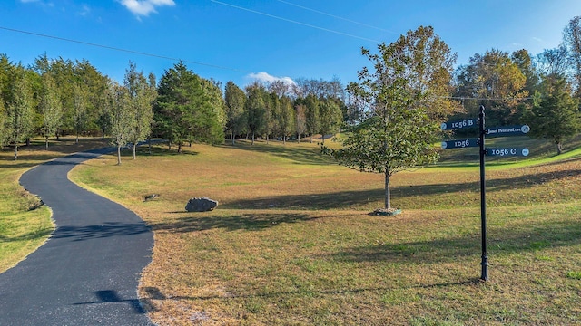 1056 Gilmore Hill Rd, Lebanon, TN 37087 - view of community featuring a lawn