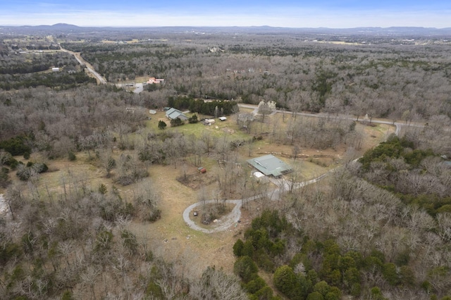 10669 S Windrow Rd, Rockvale, TN 37153 - view of property location featuring rural landscape