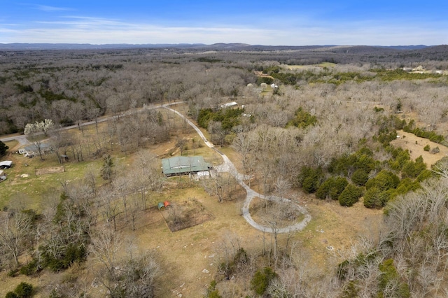 10669 S Windrow Rd, Rockvale, TN 37153 - view of property location featuring rural landscape