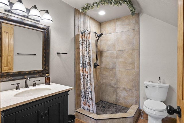 10669 S Windrow Rd, Rockvale, TN 37153 - bathroom featuring toilet, vanity, a shower stall, and wood finished floors