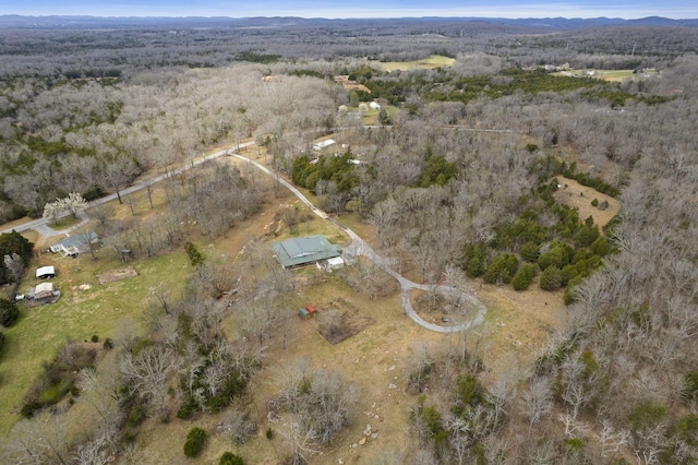 10669 S Windrow Rd, Rockvale, TN 37153 - aerial overview of property's location with rural landscape and mountains