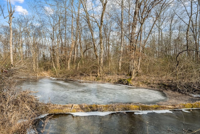 11 Walnut Creek Dr, Manchester, TN 37355 - water view