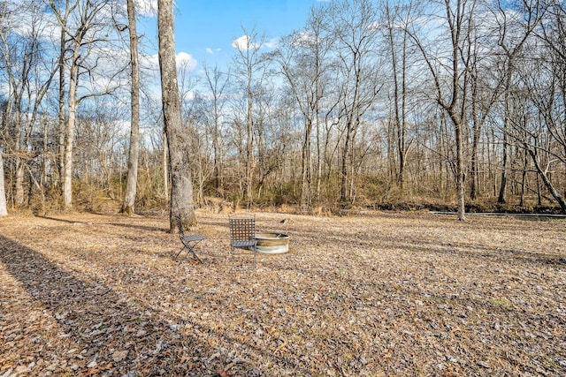 11 Walnut Creek Dr, Manchester, TN 37355 - view of yard