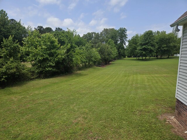121 Walker Rd, Springville, TN 38256 - photo 24