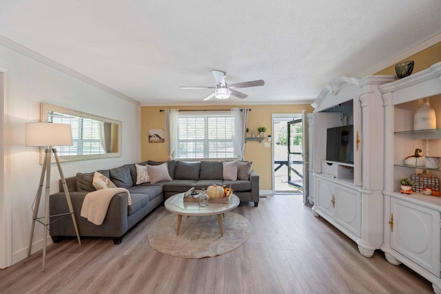 5935 Old Stage Rd, Huntingdon, TN 38344 - living room featuring light wood-style flooring, crown molding, ceiling fan, and baseboards