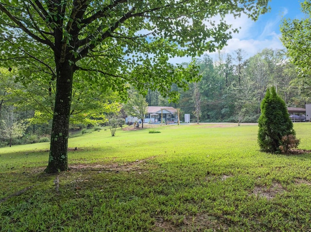 5935 Old Stage Rd, Huntingdon, TN 38344 - view of green lawn