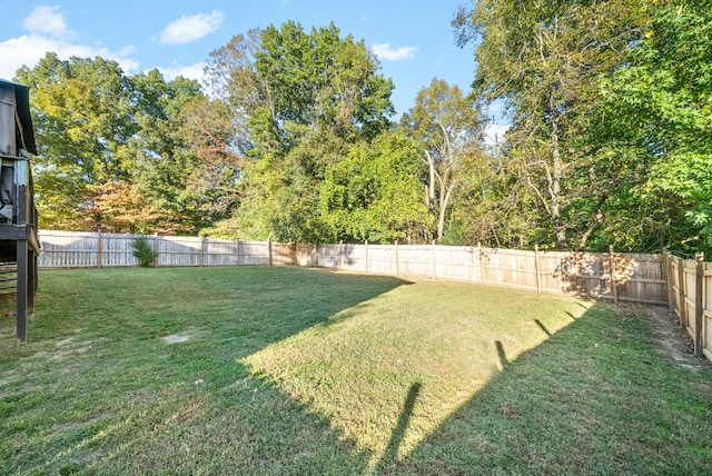 517 Ginkgo Dr, Clarksville, TN 37042 - view of yard