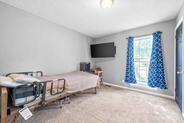 517 Ginkgo Dr, Clarksville, TN 37042 - carpeted bedroom with baseboards and a textured ceiling