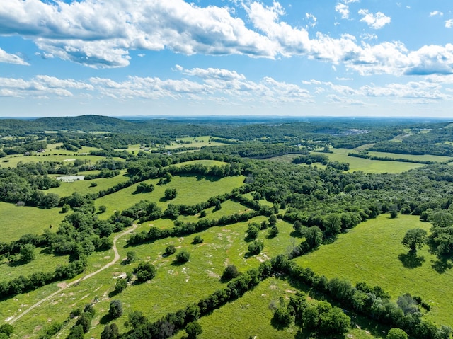 3840 SE Tater Peeler Rd, Lebanon, TN 37090 - aerial view