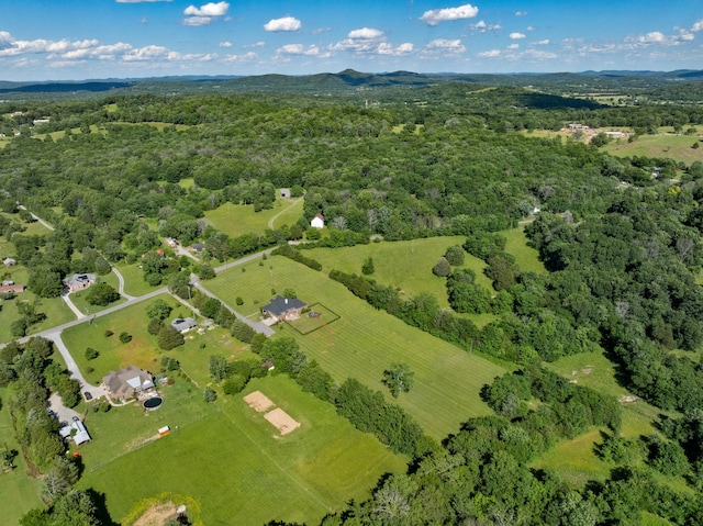 3840 SE Tater Peeler Rd, Lebanon, TN 37090 - bird's eye view of a forest