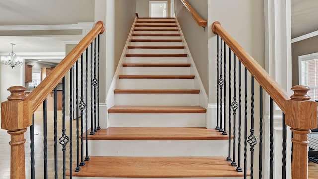 1023 Fitzroy Cir, Spring Hill, TN 37174 - stairs featuring wood finished floors, a chandelier, and ornamental molding