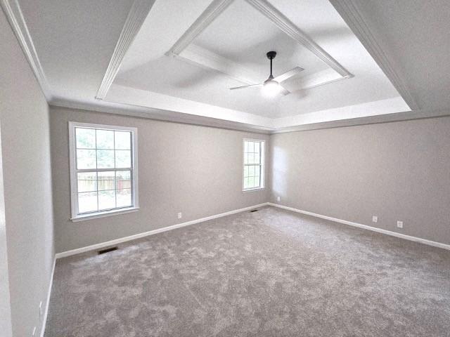 6356 Paddington Way, Antioch, TN 37013 - empty room featuring a tray ceiling, crown molding, a ceiling fan, baseboards, and carpet