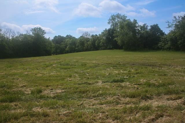 4202 Peytonsville Trinity Rd, Franklin, TN 37064 - photo 18