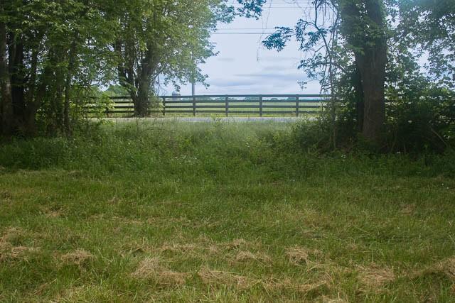 4202 Peytonsville Trinity Rd, Franklin, TN 37064 - photo 13