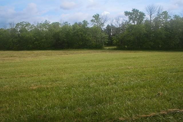 4202 Peytonsville Trinity Rd, Franklin, TN 37064 - photo 11