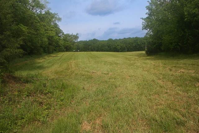 4202 Peytonsville Trinity Rd, Franklin, TN 37064 - photo 12
