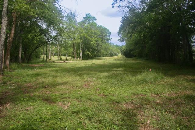 4202 Peytonsville Trinity Rd, Franklin, TN 37064 - photo 15