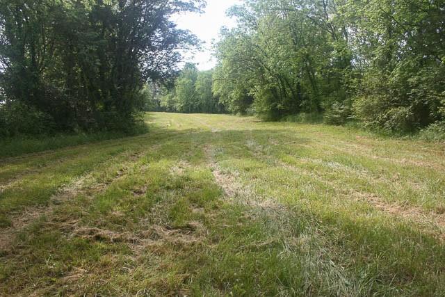 4202 Peytonsville Trinity Rd, Franklin, TN 37064 - photo 16
