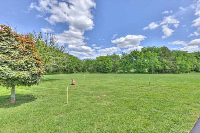 4202 Peytonsville Trinity Rd, Franklin, TN 37064 - photo 54