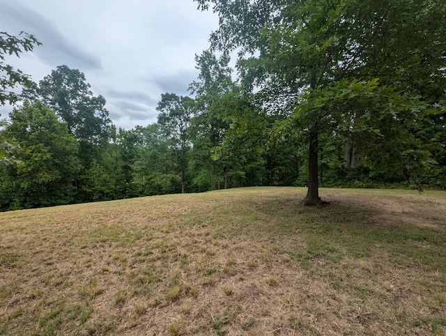 0 Partridge Pt, Cadiz, KY 42211
