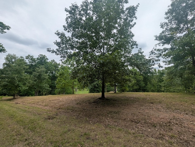 0 Partridge Pt, Cadiz, KY 42211