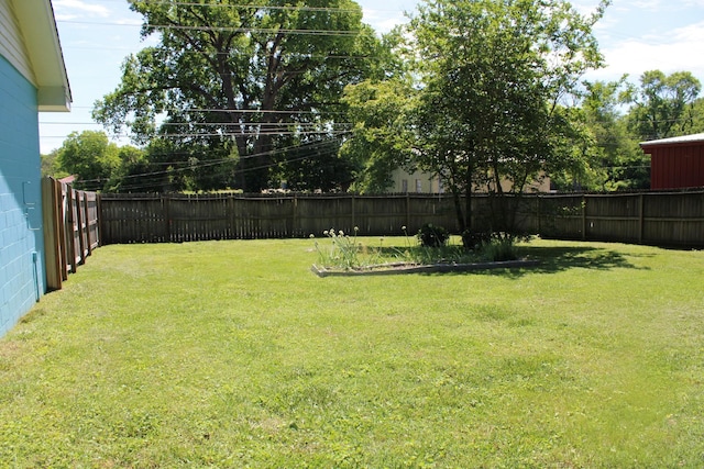 211 Maple St E, Fayetteville, TN 37334 - view of yard