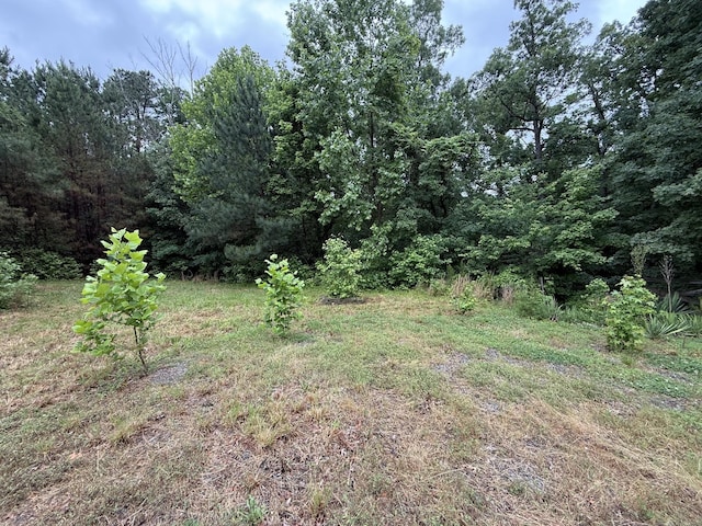 4215 Beal Rd, Benton, KY 42025
