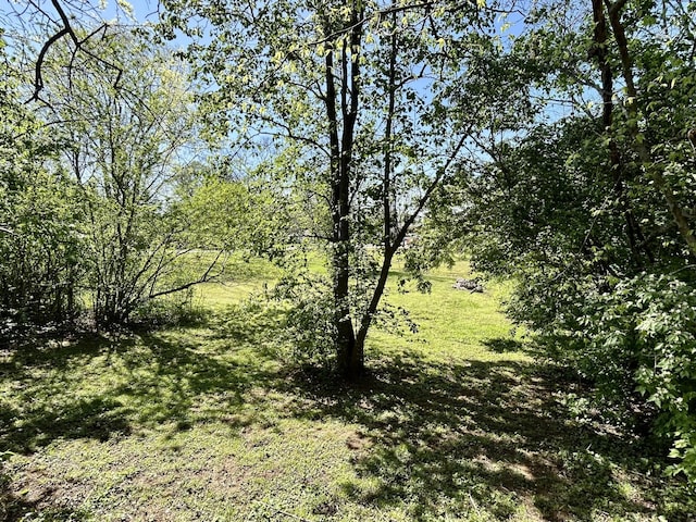 915 Tulip Cir, Gallatin, TN 37066 - view of undeveloped land