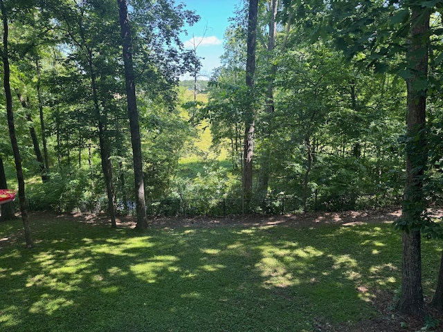 7244 Knottingham Dr, Fairview, TN 37062 - view of yard with a wooded view