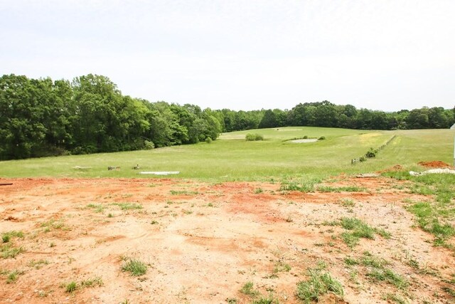 14193 Old Kentucky Rd, Walling, TN 38587 - photo 25
