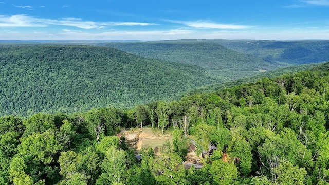 3155 Pigeon Spur Rd, Tracy City, TN 37387 - drone / aerial view of a heavily wooded area