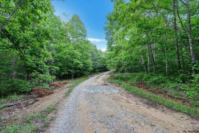 3155 Pigeon Spur Rd, Tracy City, TN 37387 - view of dirt / gravel road with a forest view
