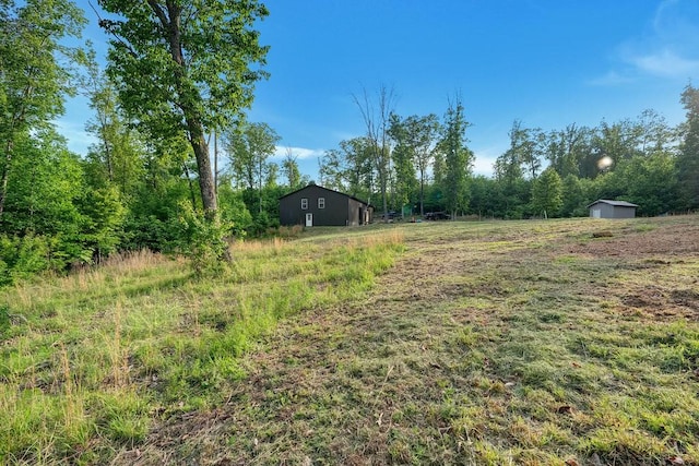 3155 Pigeon Spur Rd, Tracy City, TN 37387 - view of yard with an outbuilding