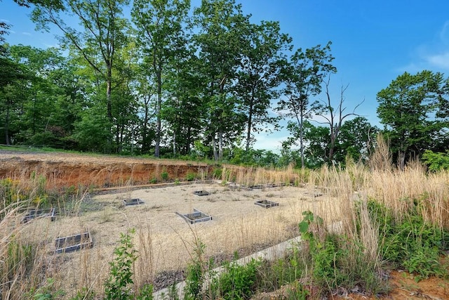 3155 Pigeon Spur Rd, Tracy City, TN 37387 - view of yard