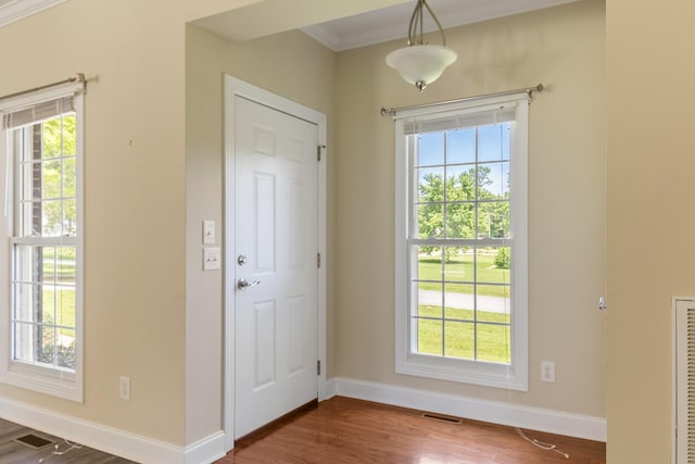 318 Tulip Tree Trl, Estill Springs, TN 37330 - entryway featuring plenty of natural light, ornamental molding, and wood finished floors