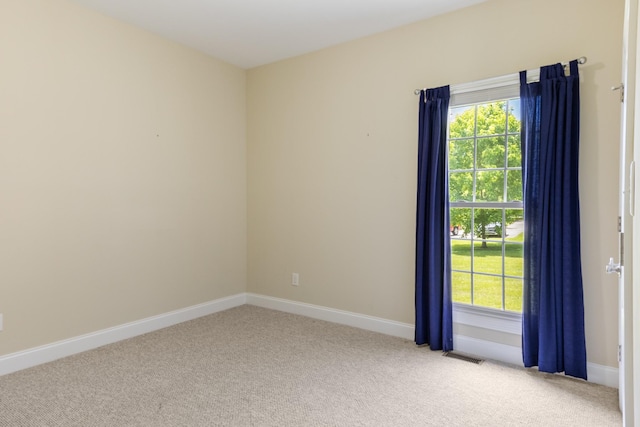 318 Tulip Tree Trl, Estill Springs, TN 37330 - empty room with light colored carpet and plenty of natural light