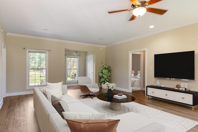 318 Tulip Tree Trl, Estill Springs, TN 37330 - living room featuring wood finished floors, ornamental molding, and a ceiling fan