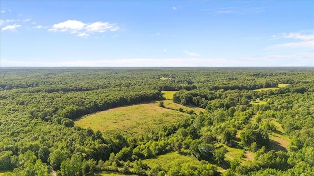 0 Deep Cut Rd, Erin, TN 37061