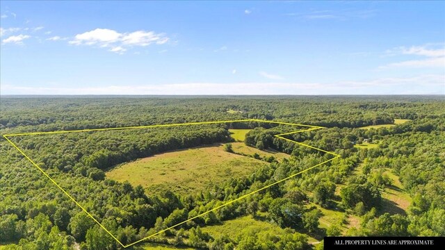 0 Deep Cut Rd, Erin, TN 37061