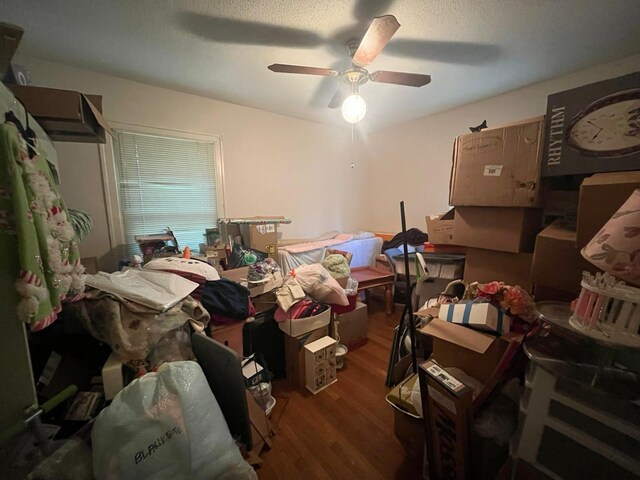 406 Blanton St, Paris, TN 38242 - photo 15