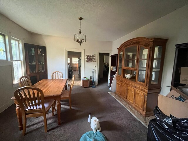 406 Blanton St, Paris, TN 38242 - photo 6