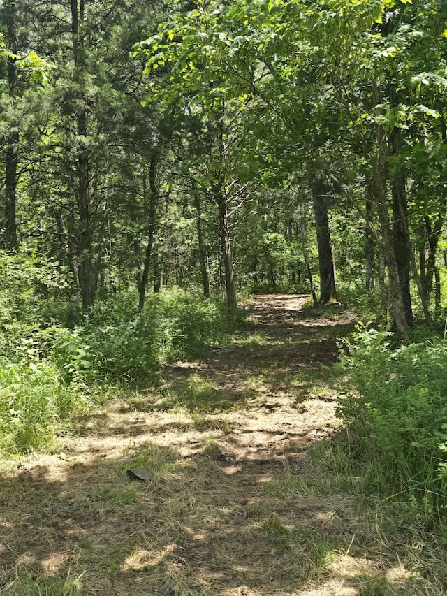 0 Fellowship Rd, Mount Juliet, TN 37122