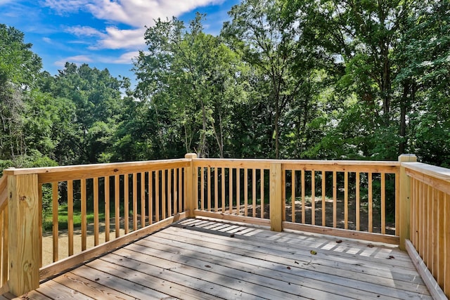 311 Conger St, Cumberland City, TN 37050 - photo 24